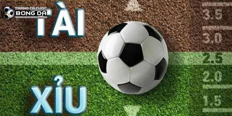 Bí quyết cách đọc kèo tài xỉu bóng đá chuẩn xác