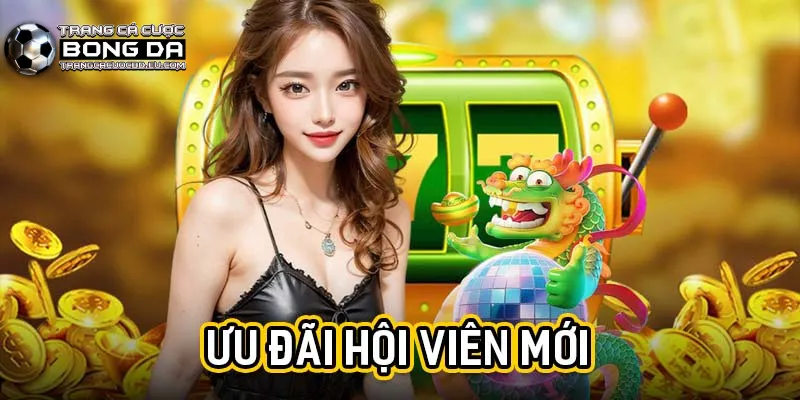 Top những ưu đãi siêu hot dành cho các hội viên