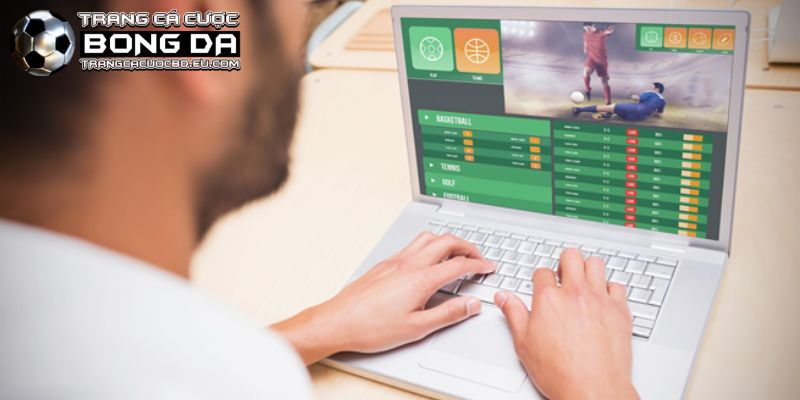 Các thành tựu mà CEO Lê Tuấn mang lại cho trang cá độ