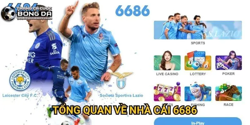 Giới thiệu tổng quan vài thông tin về nhà cái cá cược online