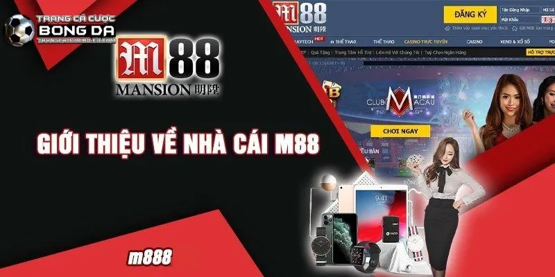 Tìm hiểu chi tiết nhà cá cược online M88